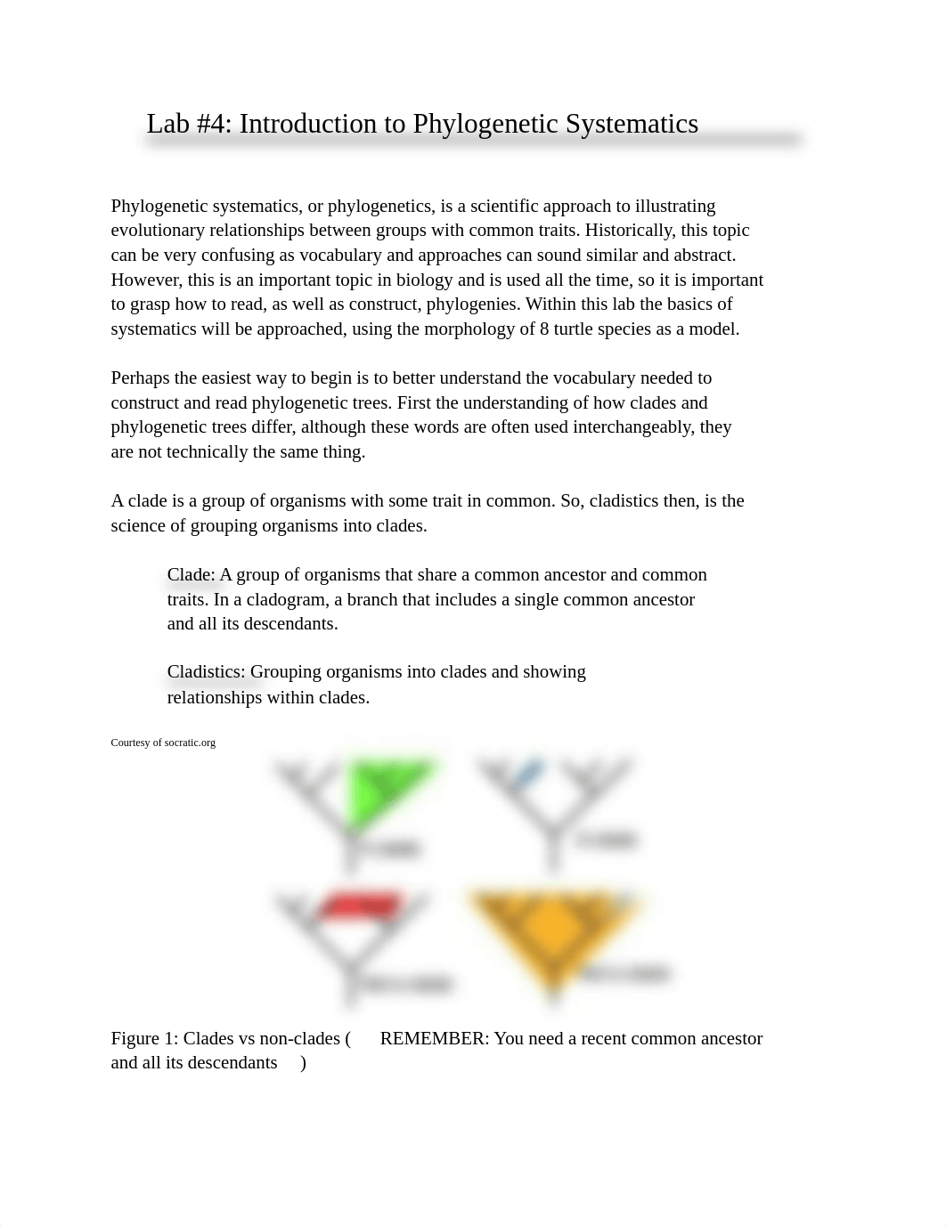 Lab 4 Phylogenetic Systematics.pdf_dqfxscc8gy3_page1