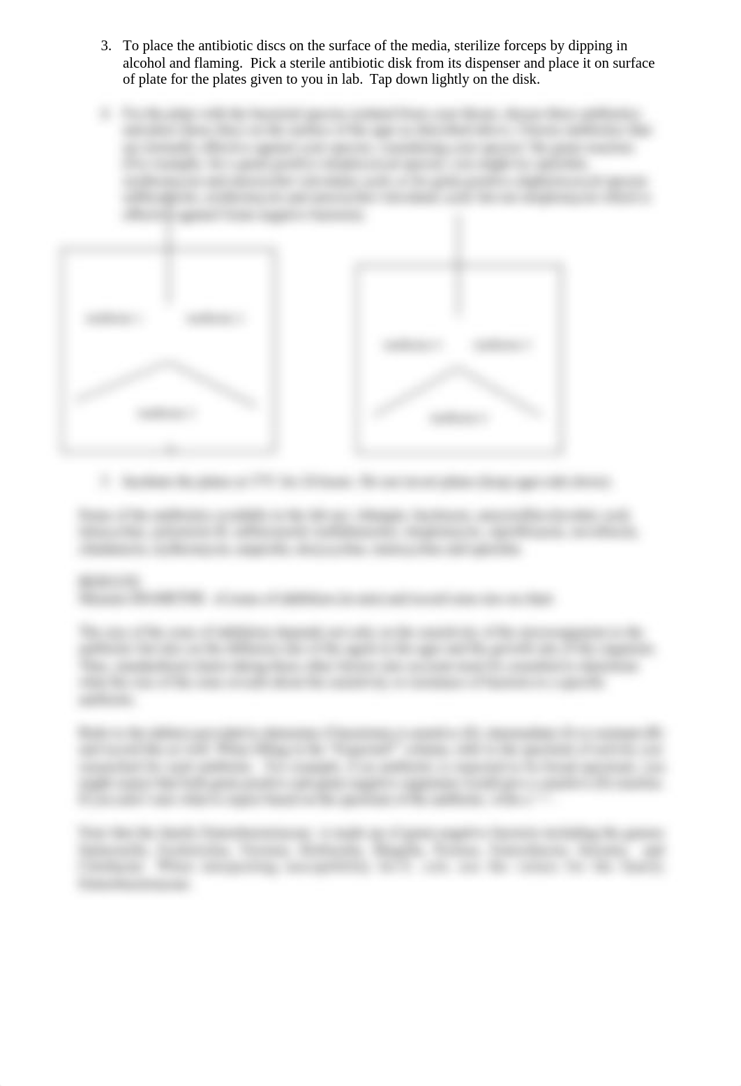 Lab 12 Kirby-Bauer antibiotic sensitivity assay.docx_dqfyskozd6s_page2