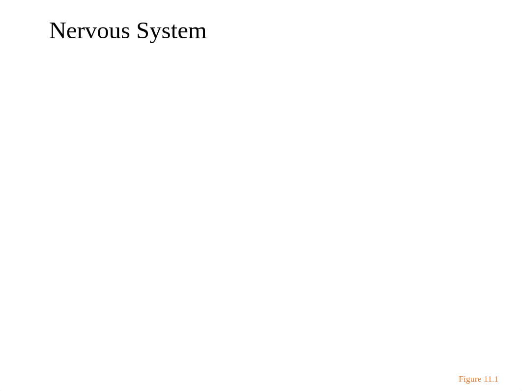 1 A&P Review handout.ppt_dqg49i77zl4_page5