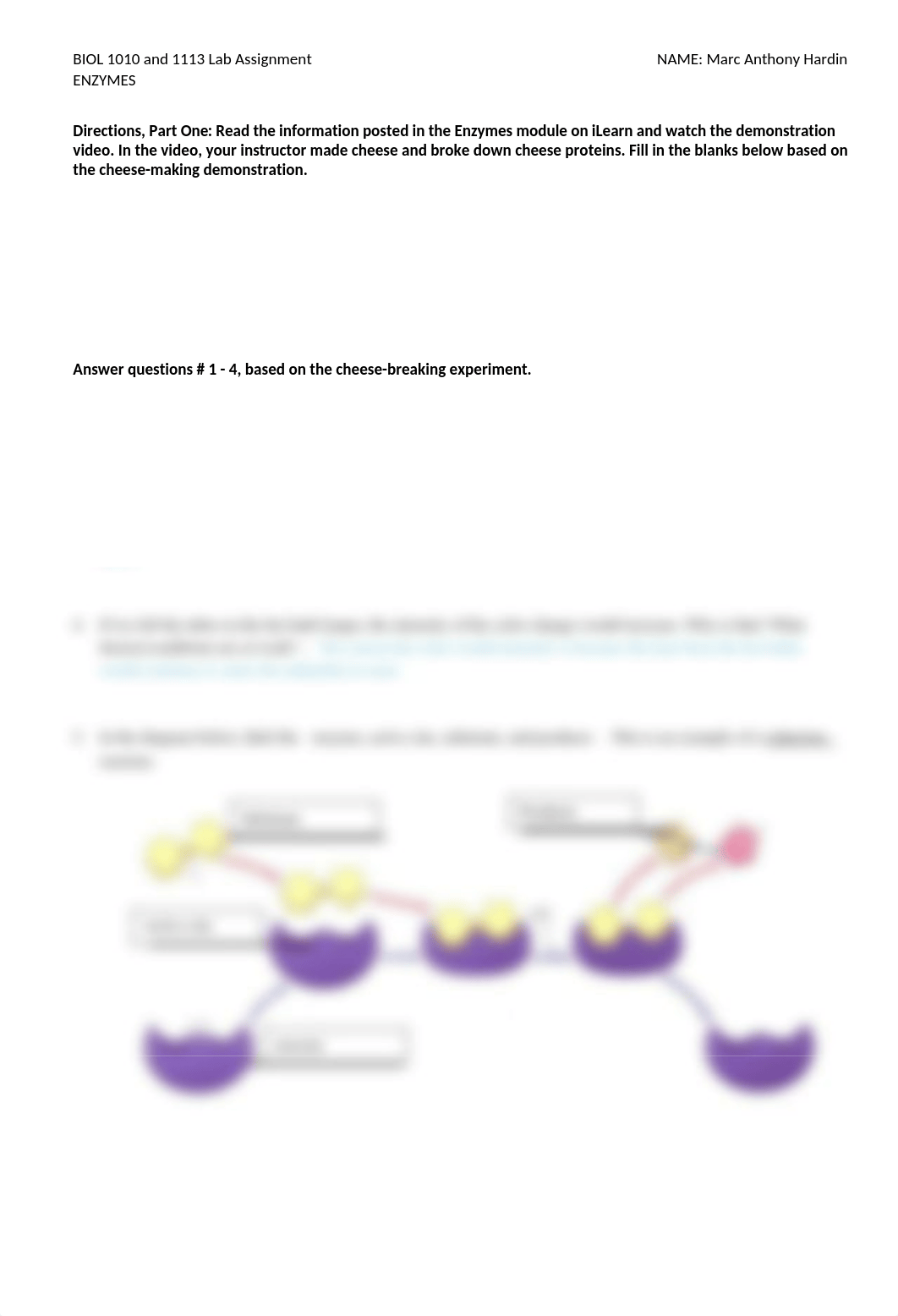 Lab 6 Assignment Enzymes.docx_dqg71qghi52_page1