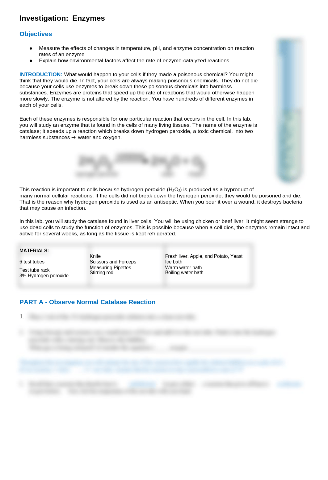 Copy of Investigation_ Enzymes and Hydrogen P.docx_dqgd1elgd3c_page1