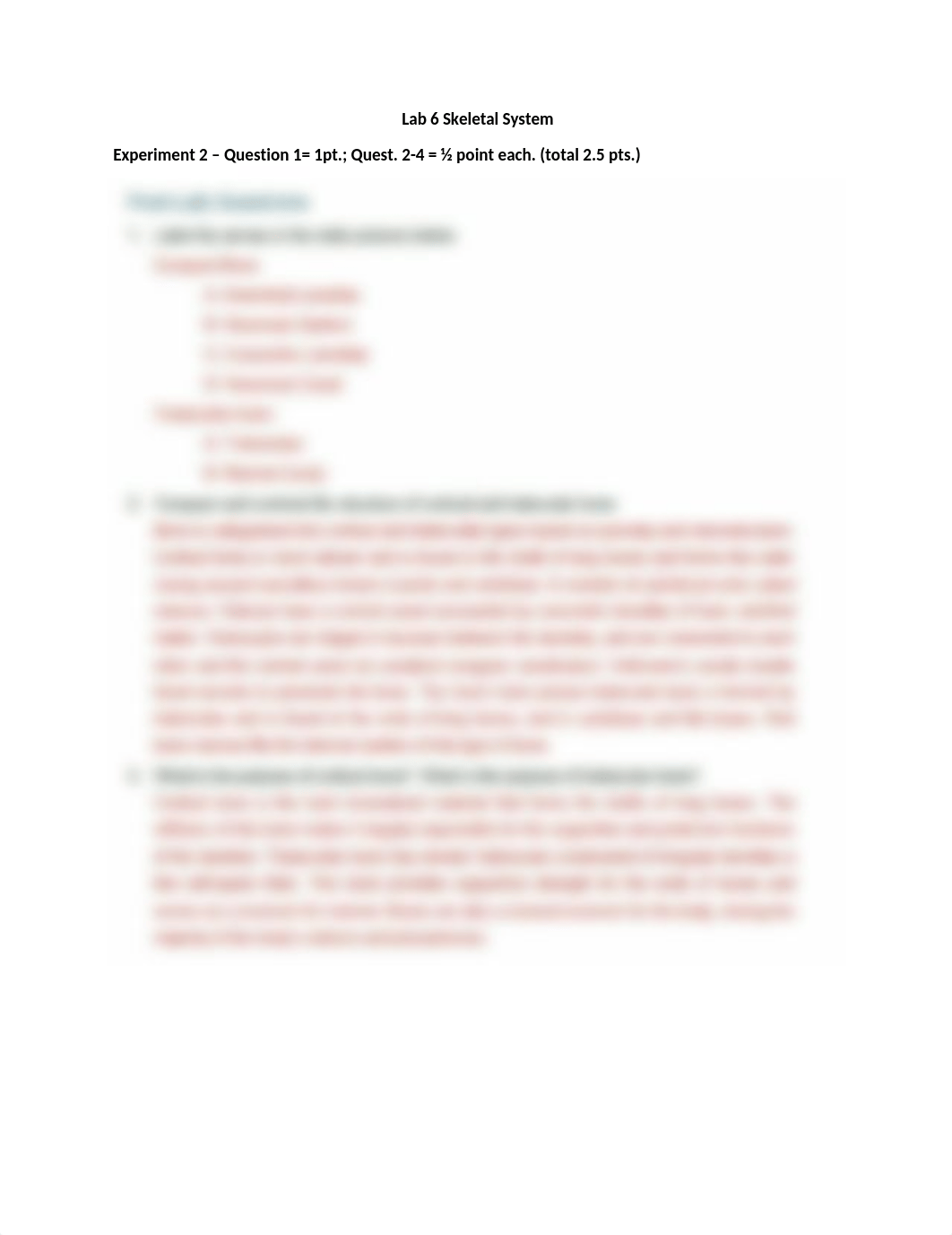 Lab 6 skeletal system answer key-1.docx_dqgkxm5ceh8_page1