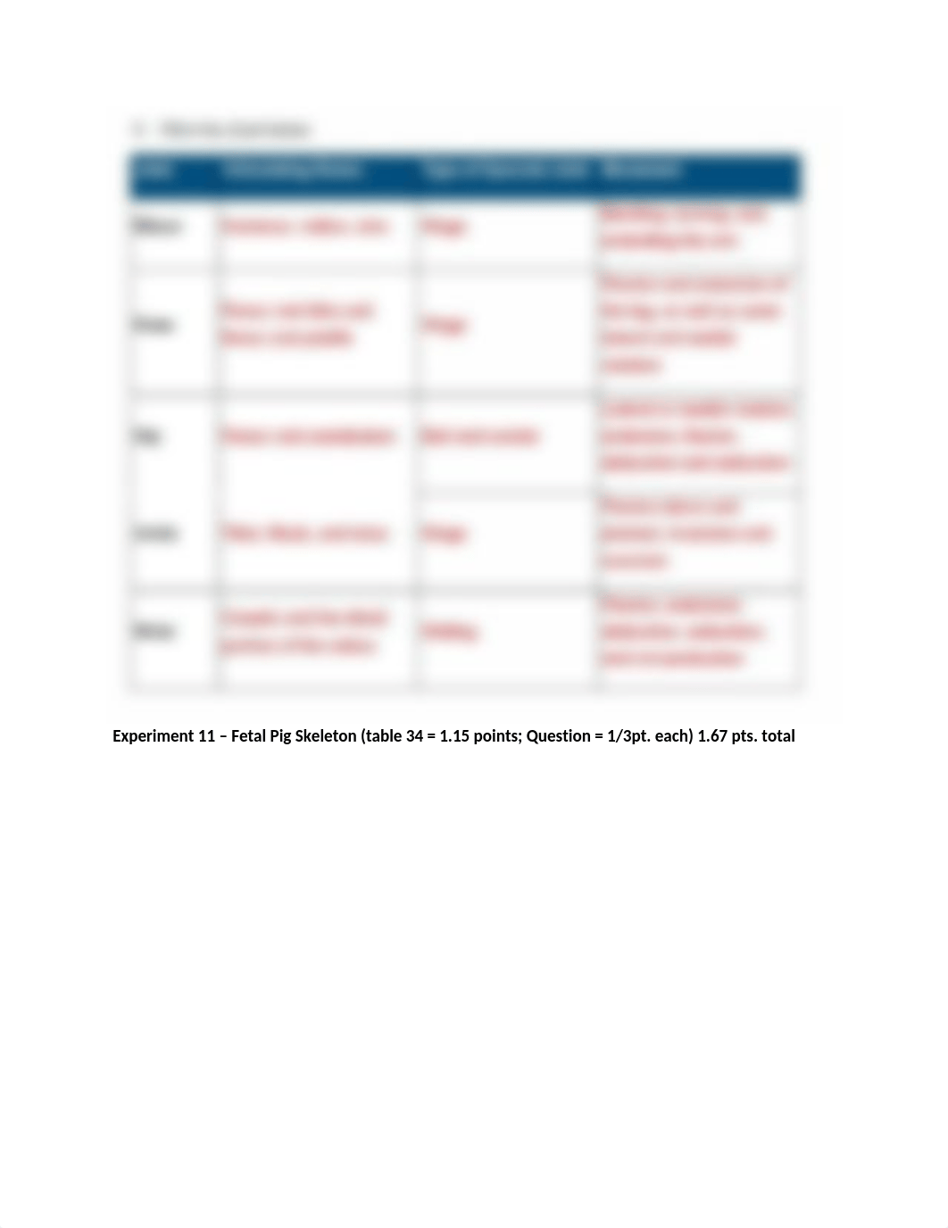 Lab 6 skeletal system answer key-1.docx_dqgkxm5ceh8_page4