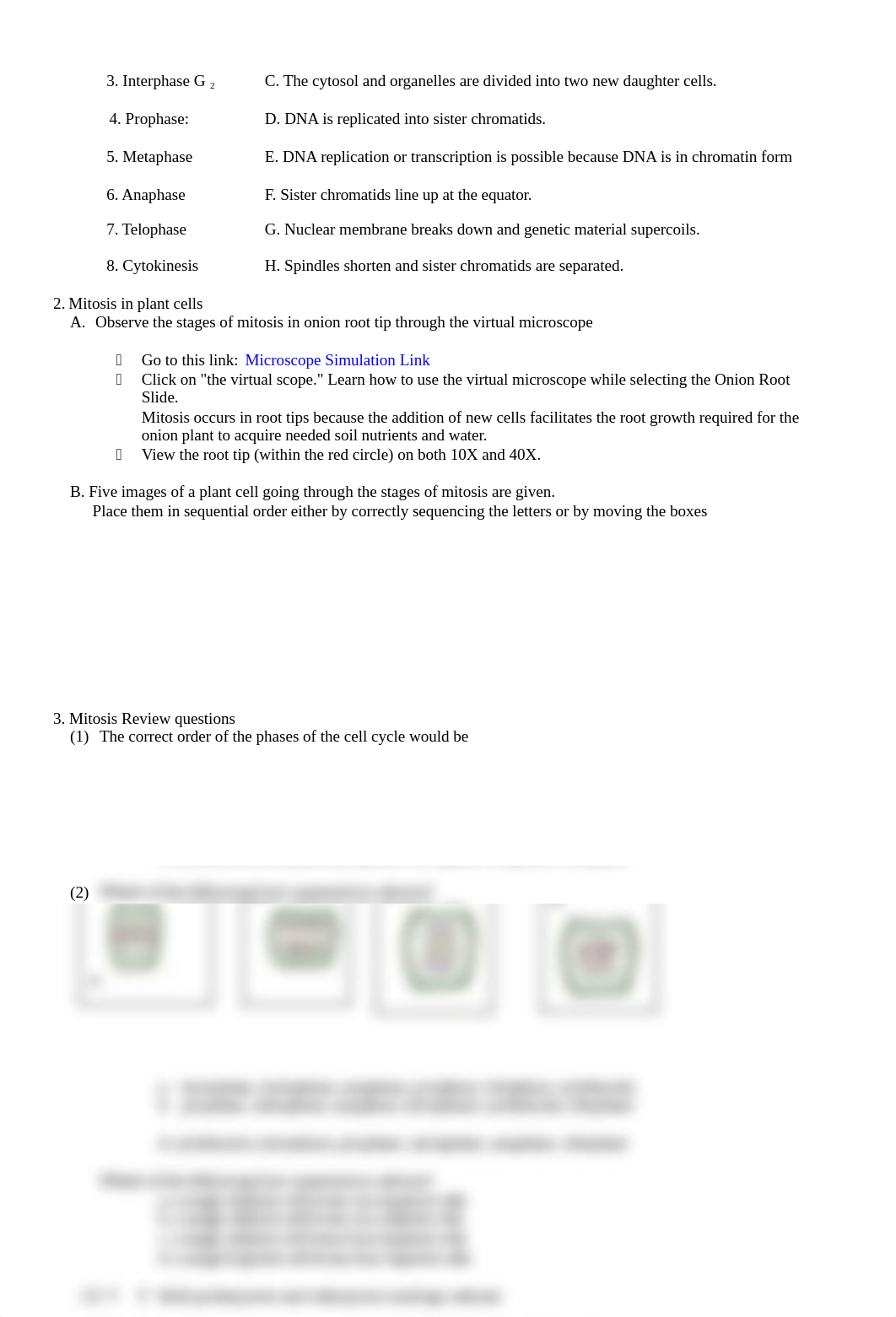 Mitosis_Meiosis.docx_dqh408at6dp_page2