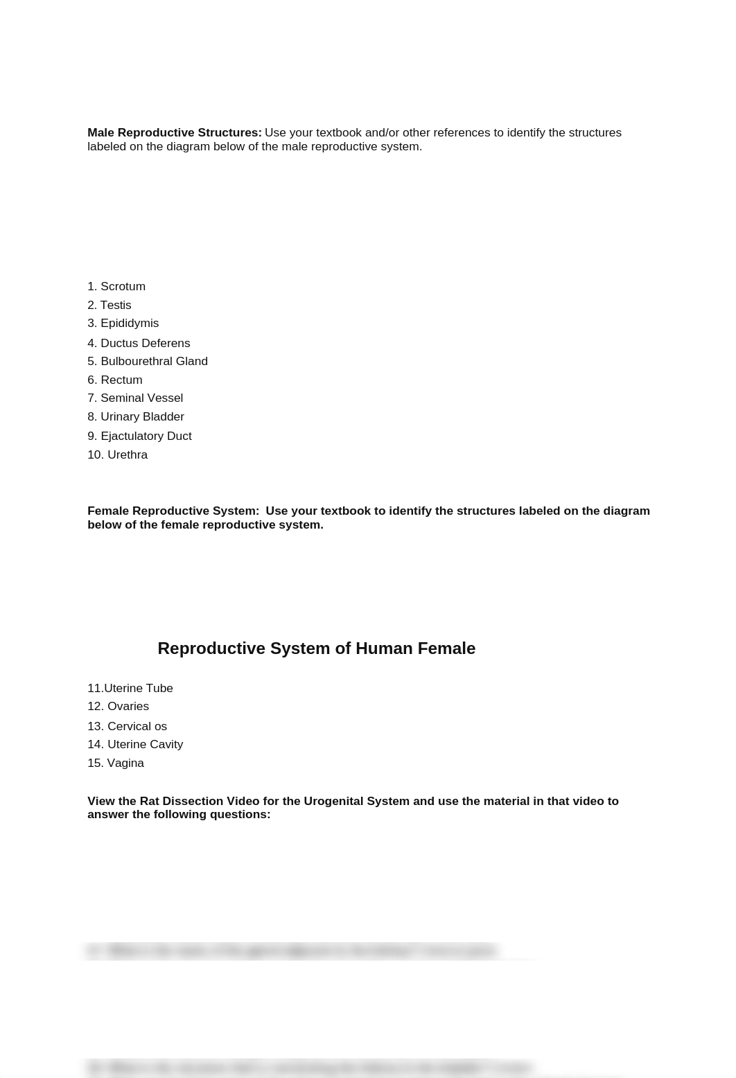 Reproductive_System__dqh4197k1u2_page1