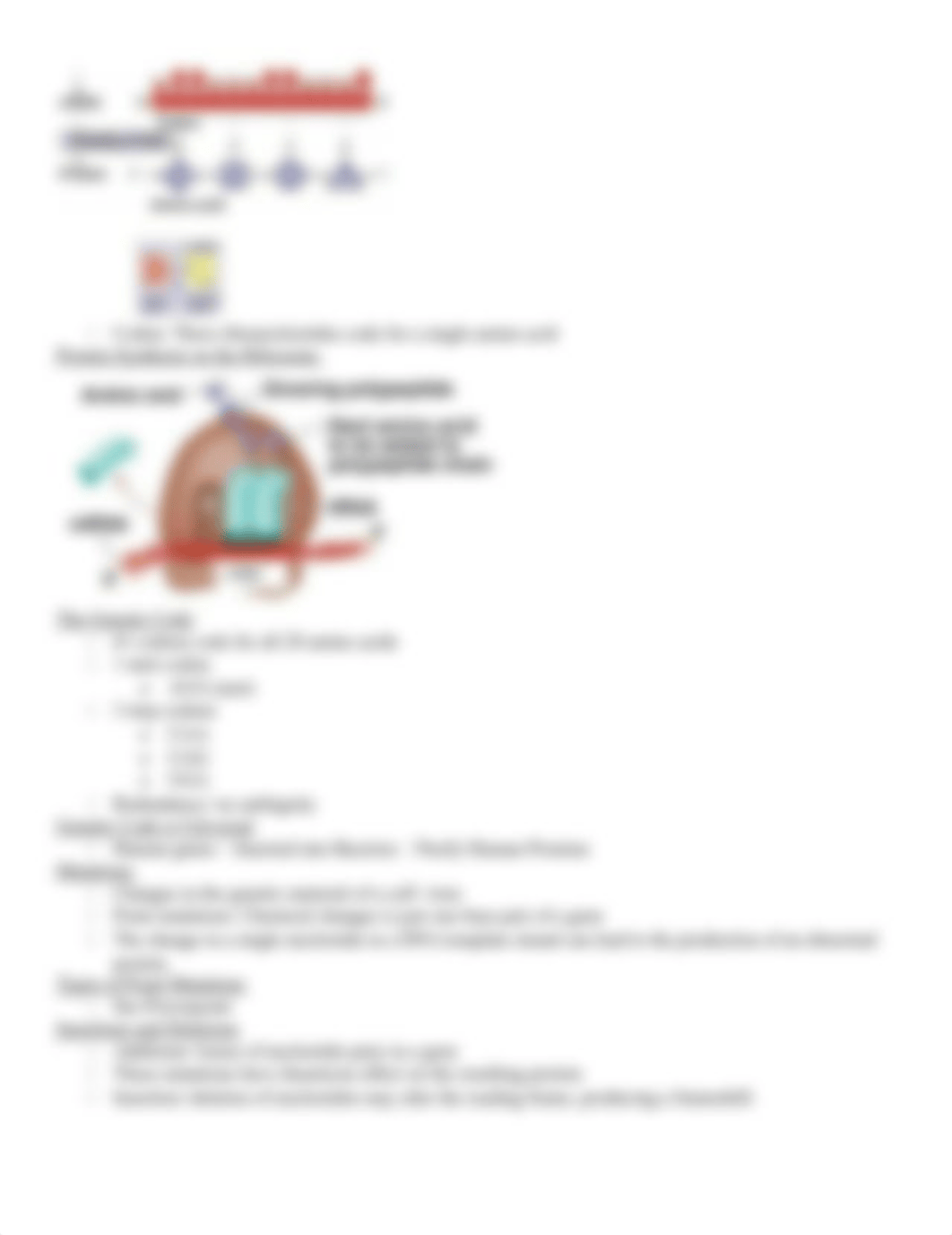 Chapter 17- RNA Trascription & Translation_dqhkgs9qmwr_page2