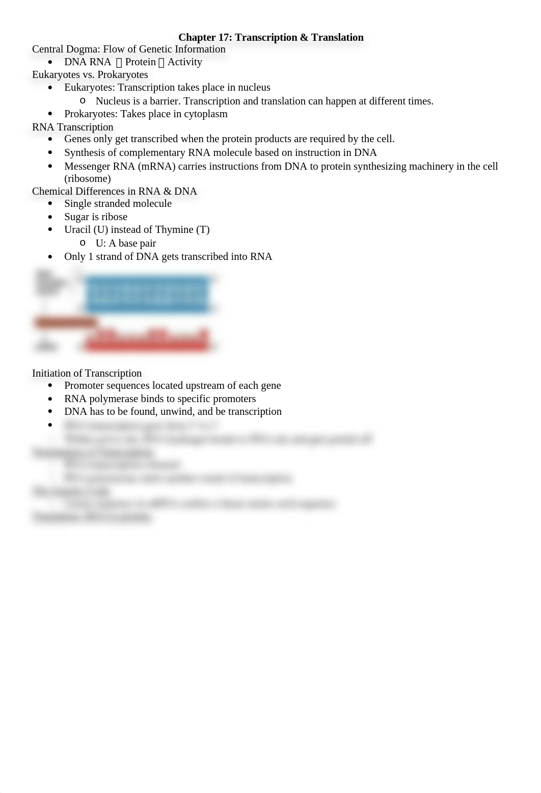 Chapter 17- RNA Trascription & Translation_dqhkgs9qmwr_page1