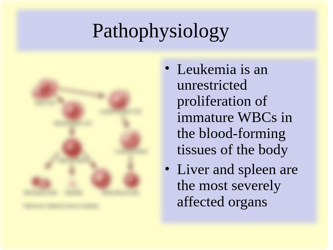 Leukemia and Lymphoma, childhood cancers_dqhsx6nhq60_page5