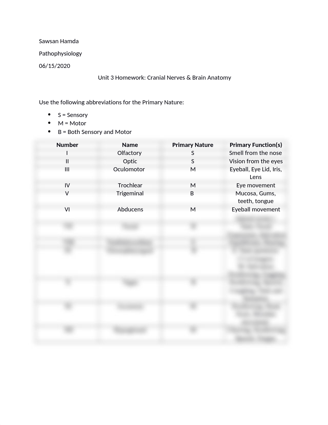 Cranial Nerves & Brain Anatomy.docx_dqi19l7z2ta_page1