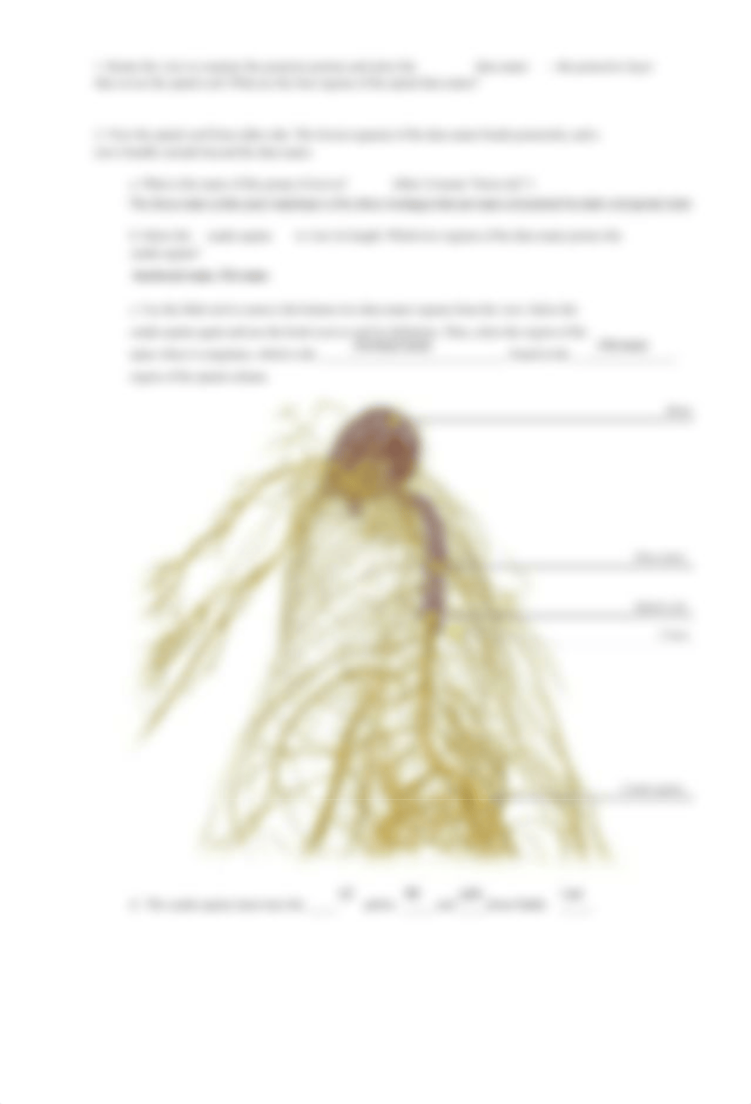 Bio 200-L23 Lab maunal Spinal Cord and spinal nerves.pdf_dqi8of2aval_page5