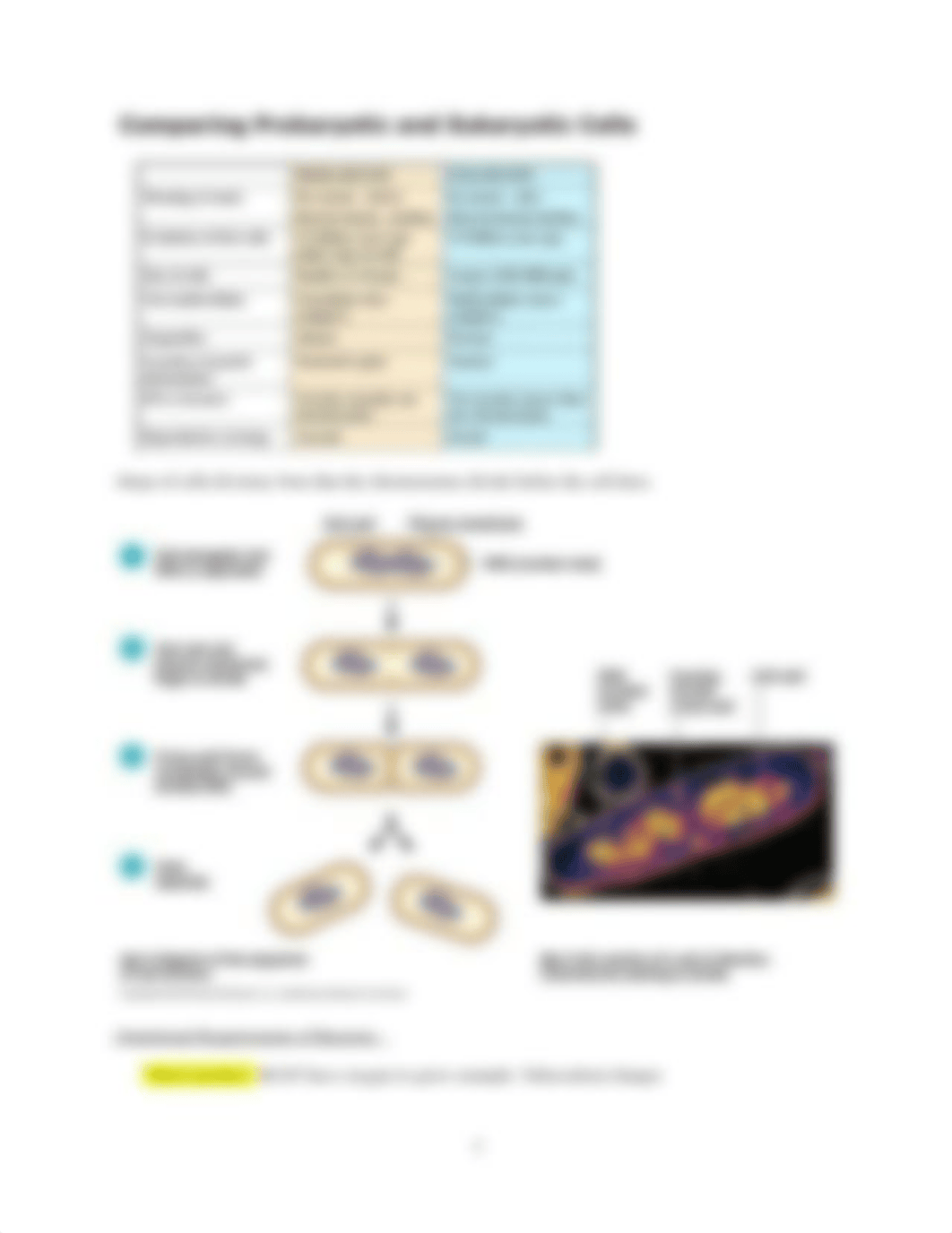 Study guide micro test 1.docx_dqidj7o1zcg_page3