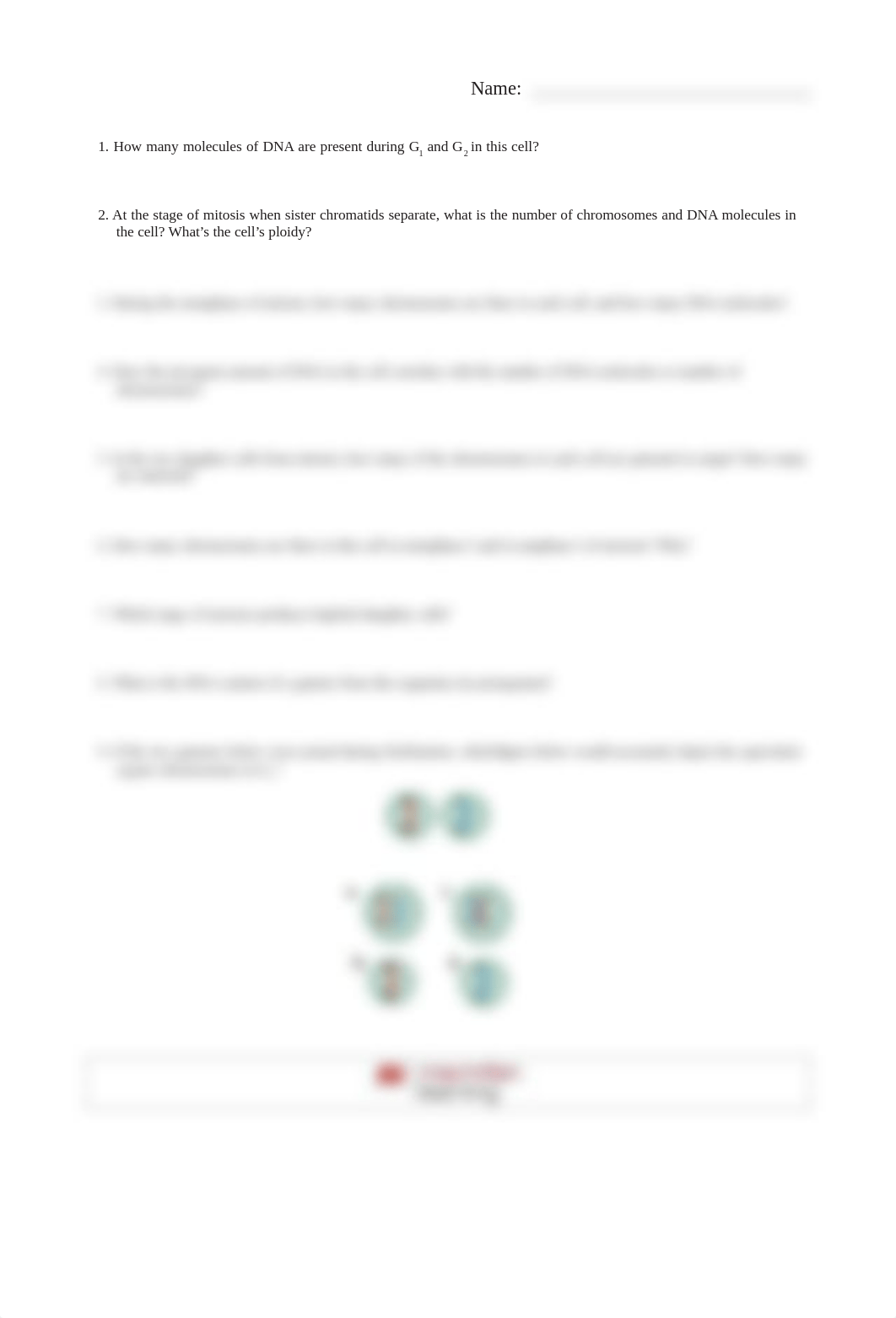 alayna Lab 1-Mitosis and Meiosis.pdf_dqigk31iybd_page3