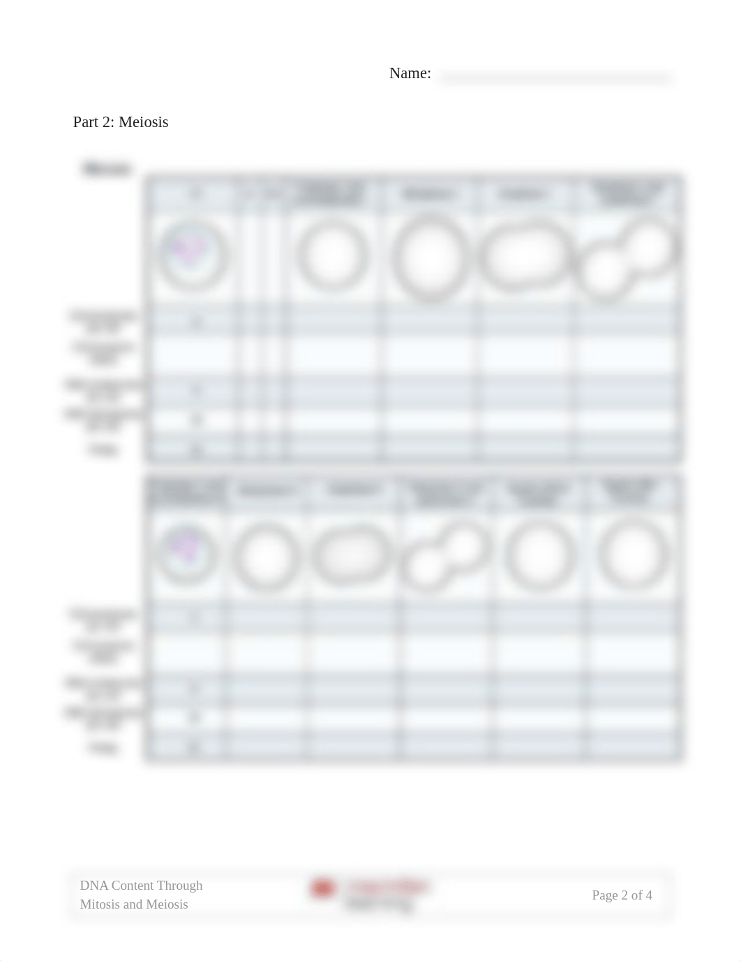 alayna Lab 1-Mitosis and Meiosis.pdf_dqigk31iybd_page2