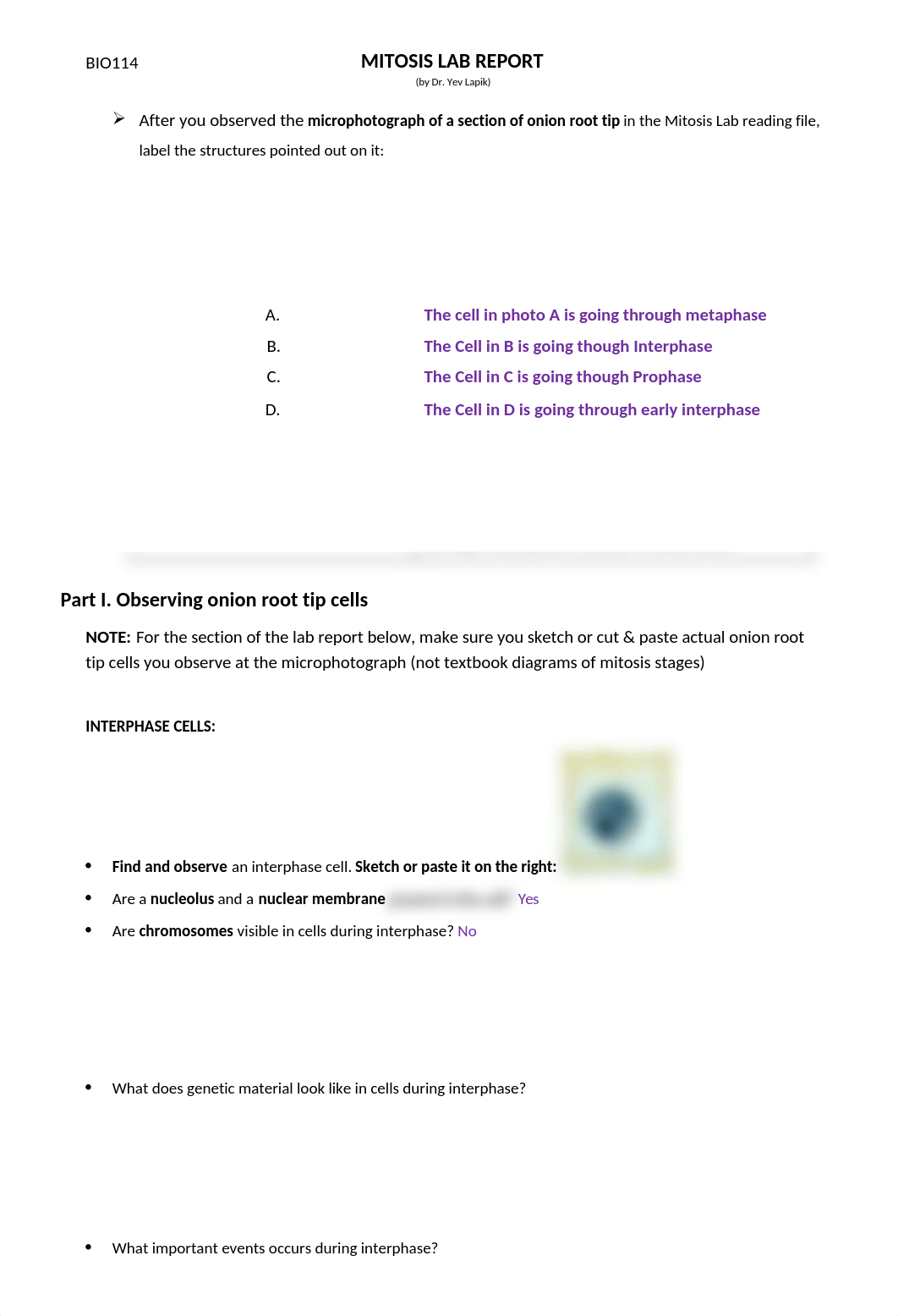 Mitosis Lab.docx_dqipg6ttigw_page1