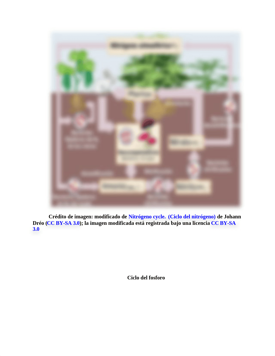 nutricion vegetal unidad 3 tarea 5.docx_dqj39jp6lvj_page5