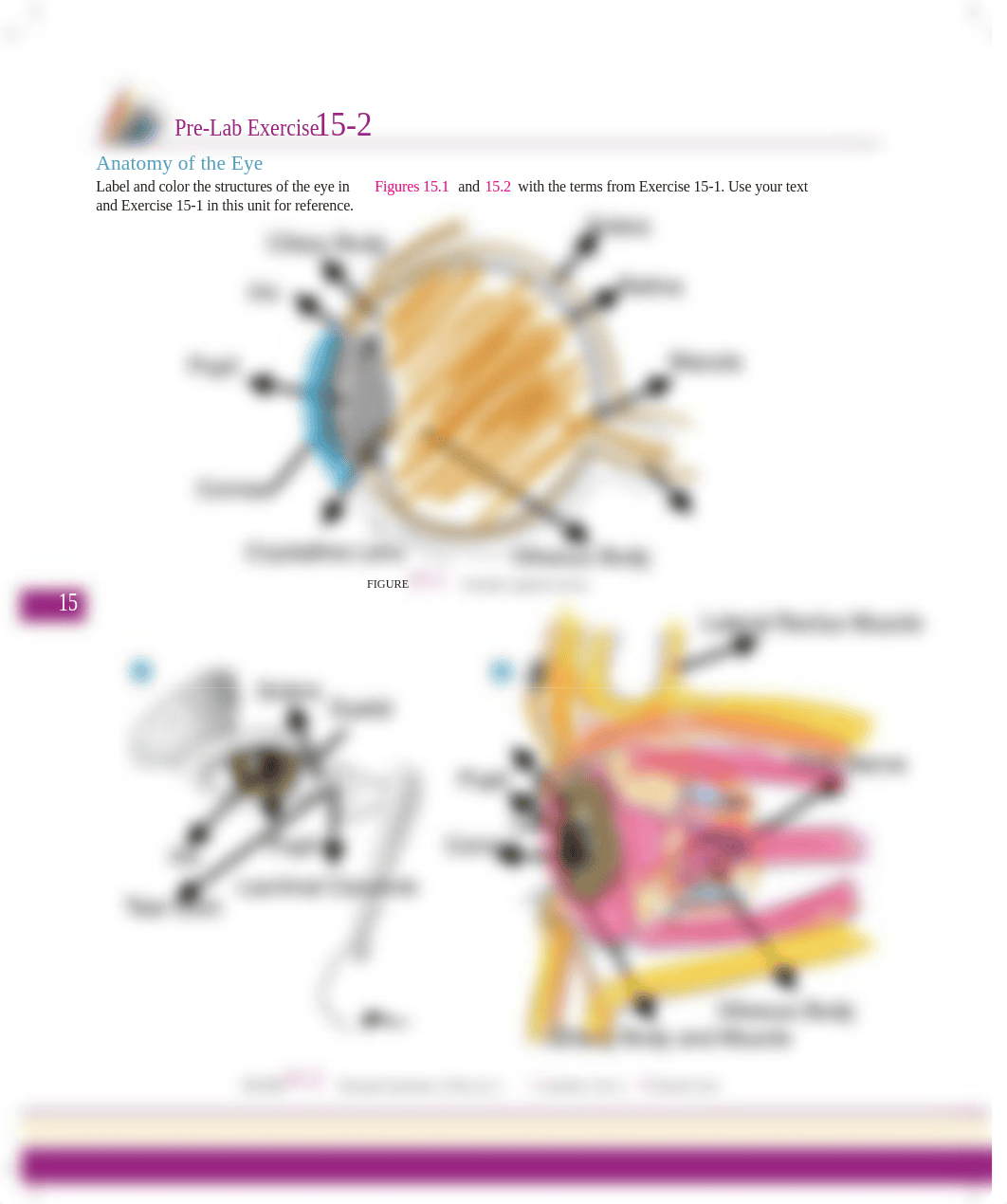 Unit 15 Pre-Lab Exercise 15-2.pdf_dqjf7sdjoxh_page1