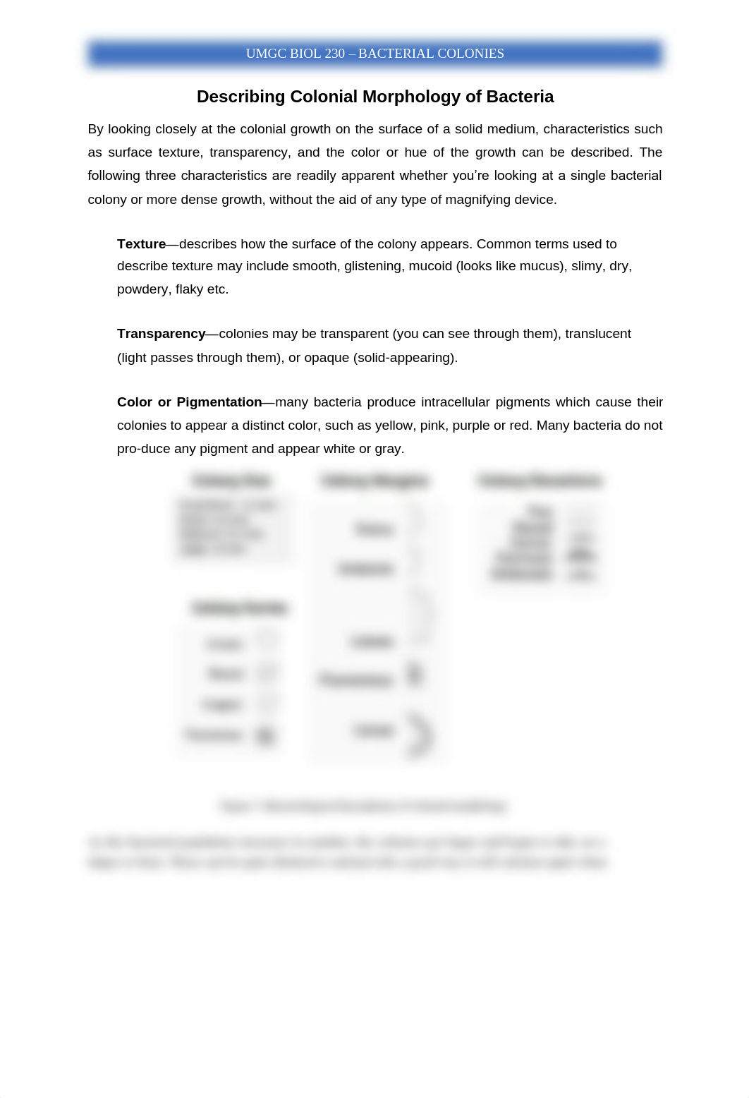 Describing Colony Morphology.pdf_dqjmqc810kw_page1