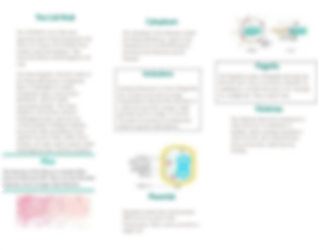 TOUR OF THE BACTERIAL CELL.docx_dqjmt1lyeyb_page2