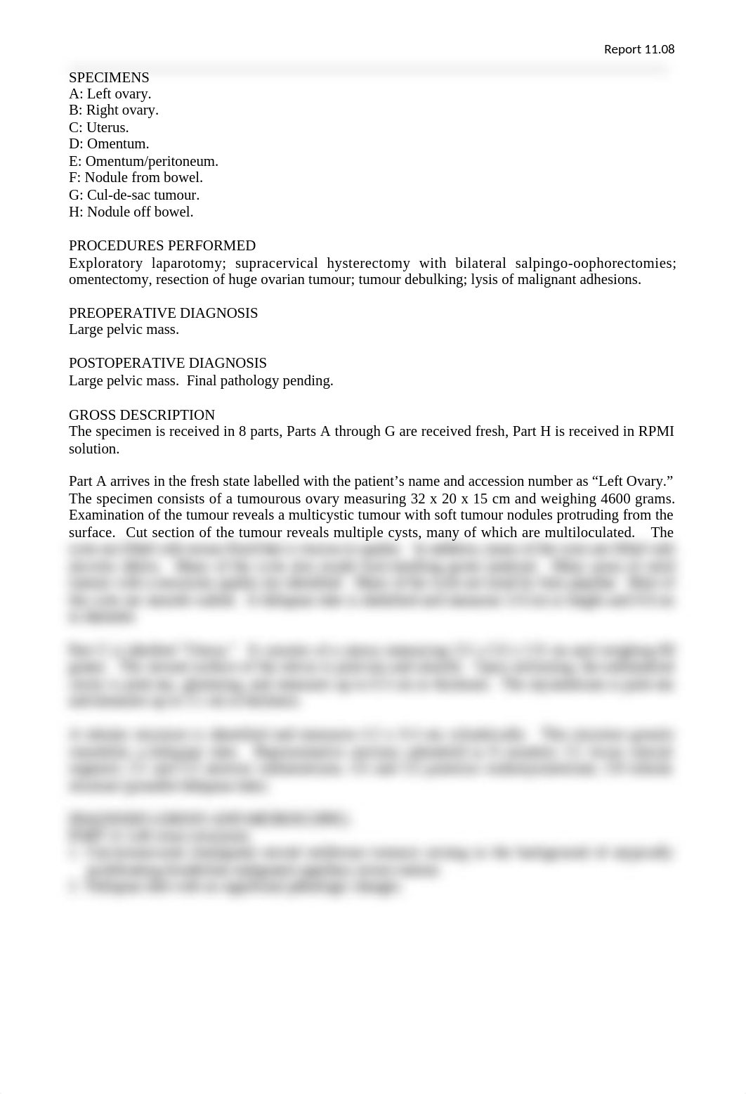 Report11.08.docx_dqjprxm8wua_page1