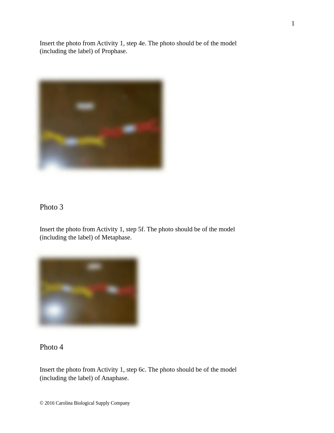 580122 Mitosis and Meiosis Chromsome Simulation Q.docx_dqjs1g84w5x_page2