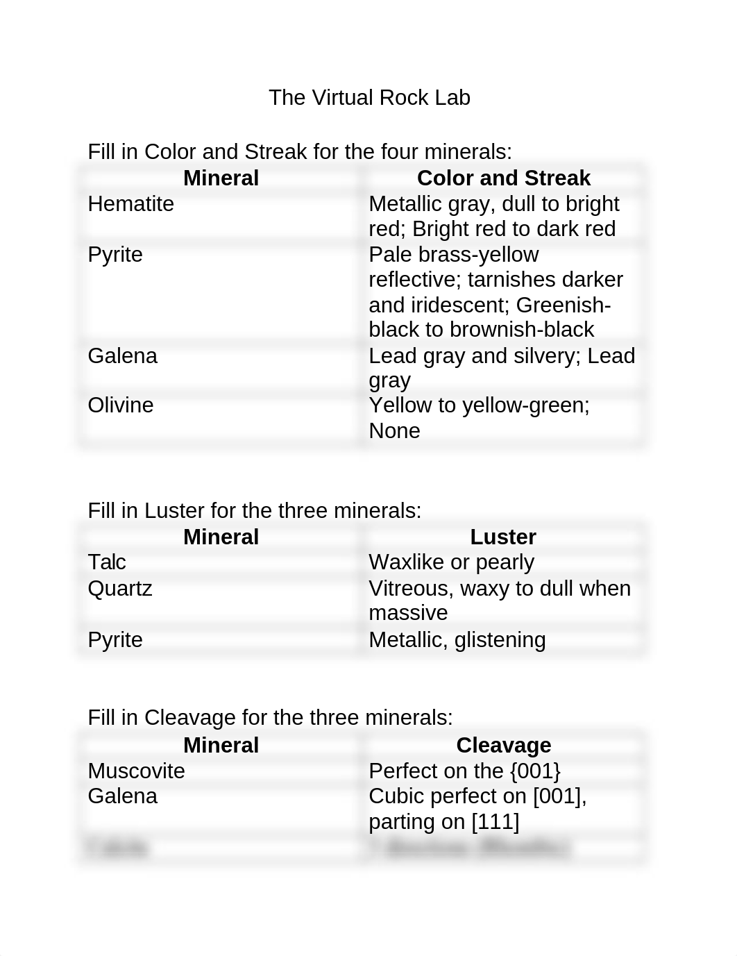 The Virtual Rock Lab Worksheet.docx_dqjtdc37dn8_page1