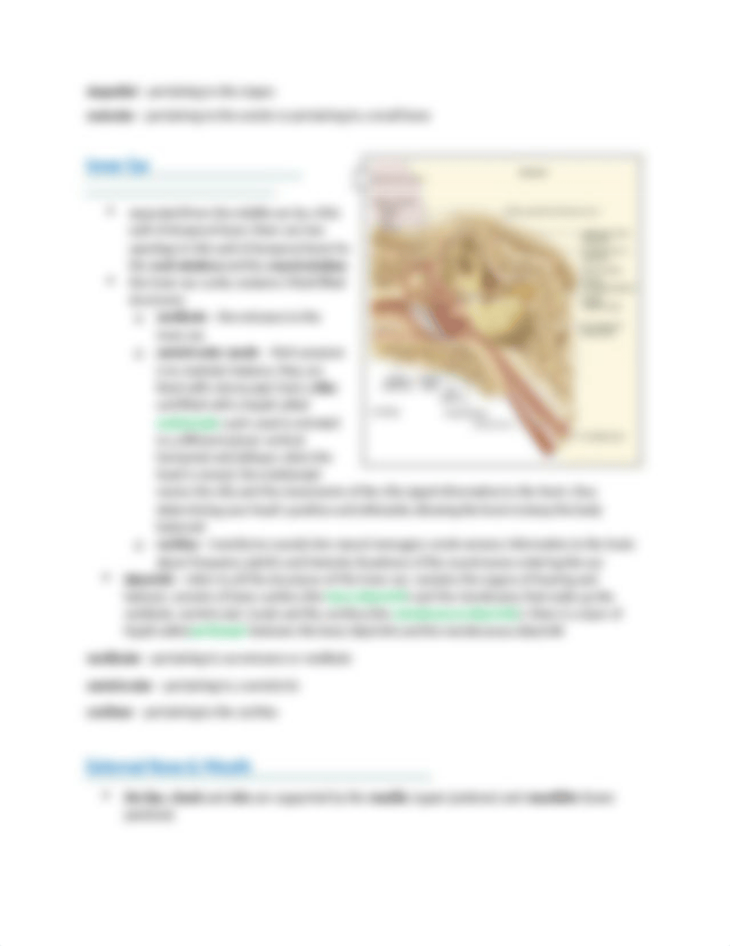 CH 16 - OTOLARYNGOLOGY - HLTH 110-1-3.docx_dqju9p999zu_page3