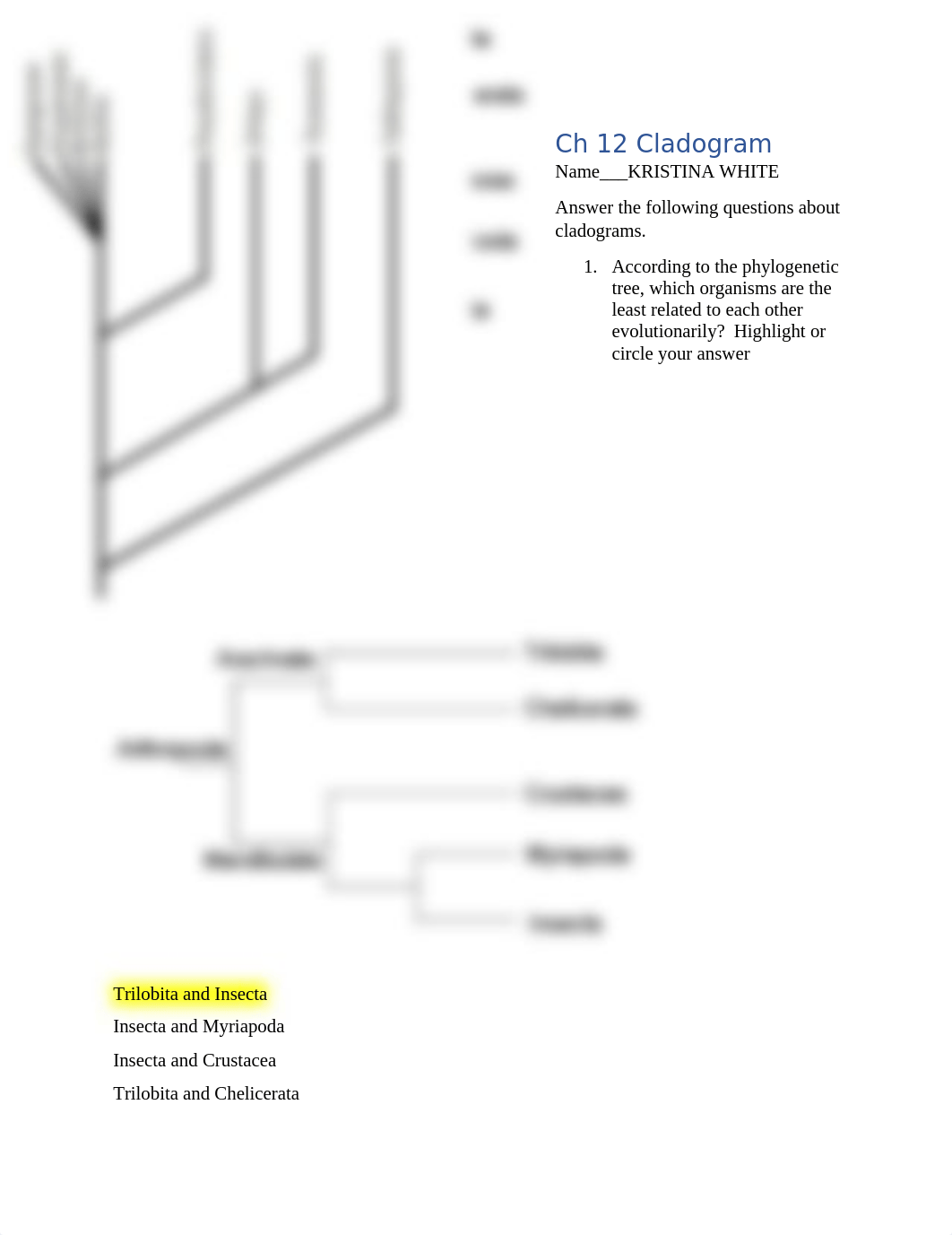 Ch 12 Cladogram(1).odt_dqjz6prwaxs_page1