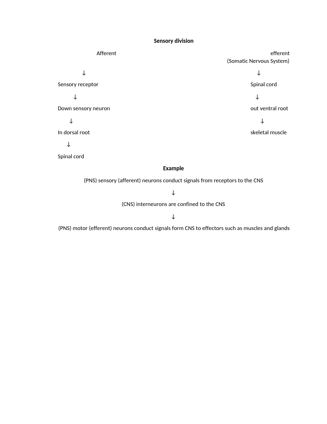 Neurons & neurophysiology_dqjzx3xfovl_page1