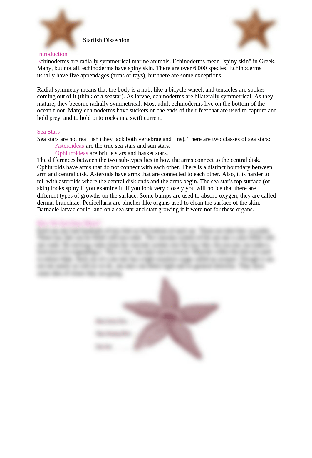 10sstarfishdissectionlab (1)_dqk1u1bj18a_page1