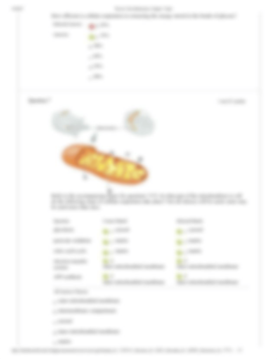 Chapter 7 Quiz 3_dqkj28z1cqh_page3