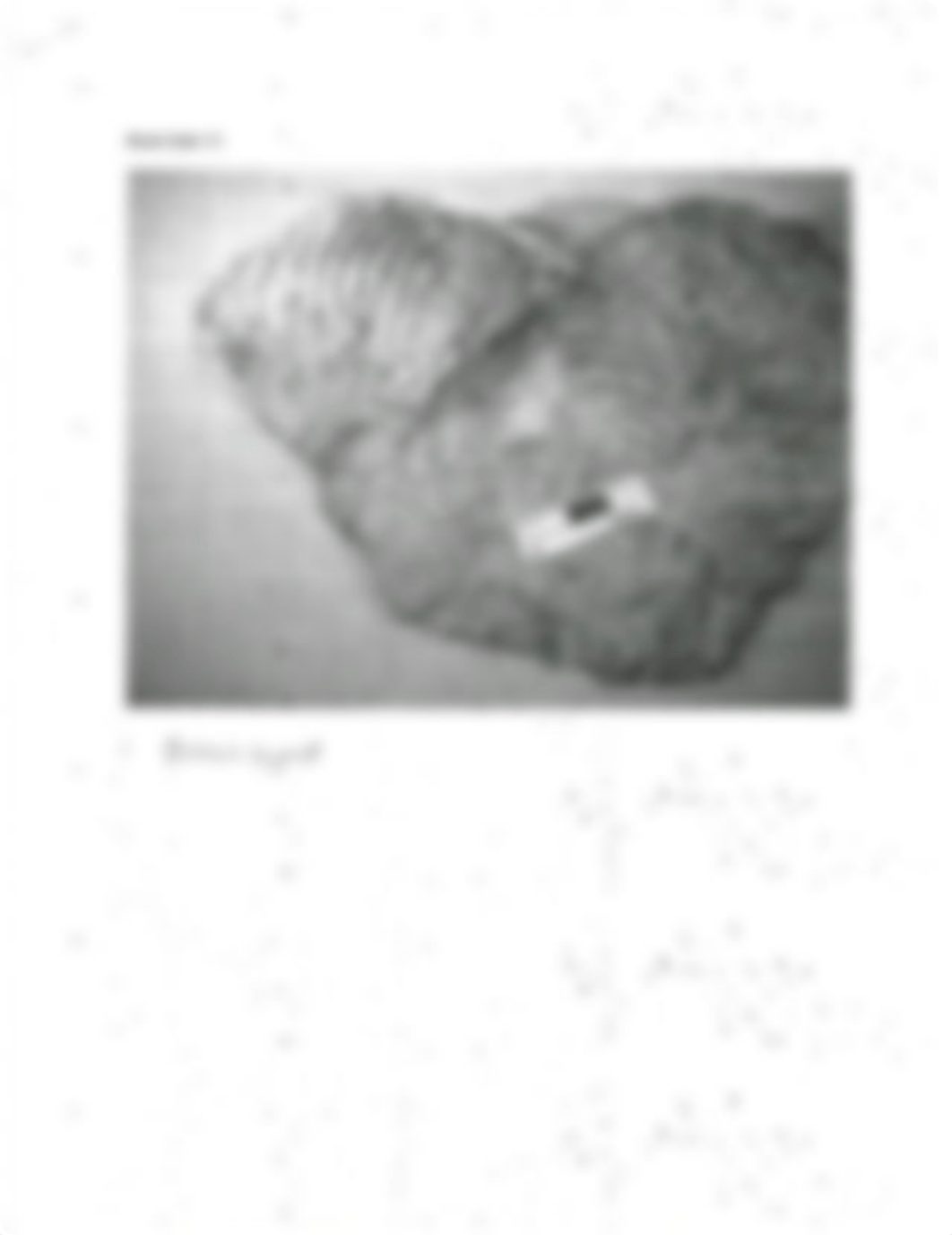 Lab 11 Mesozoic fossils.pdf_dqkj4341nvz_page5