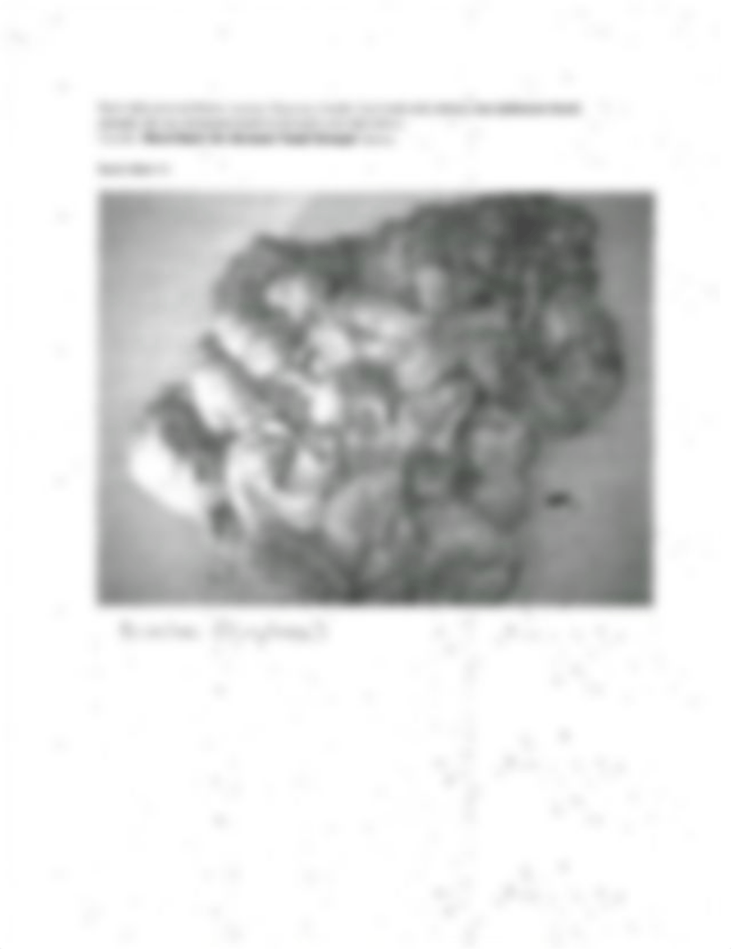 Lab 11 Mesozoic fossils.pdf_dqkj4341nvz_page3