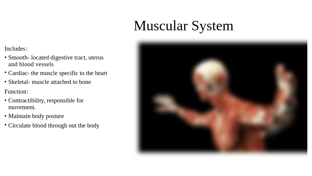 Anatomy and physiology project.pptx_dqkq94pvb4p_page5