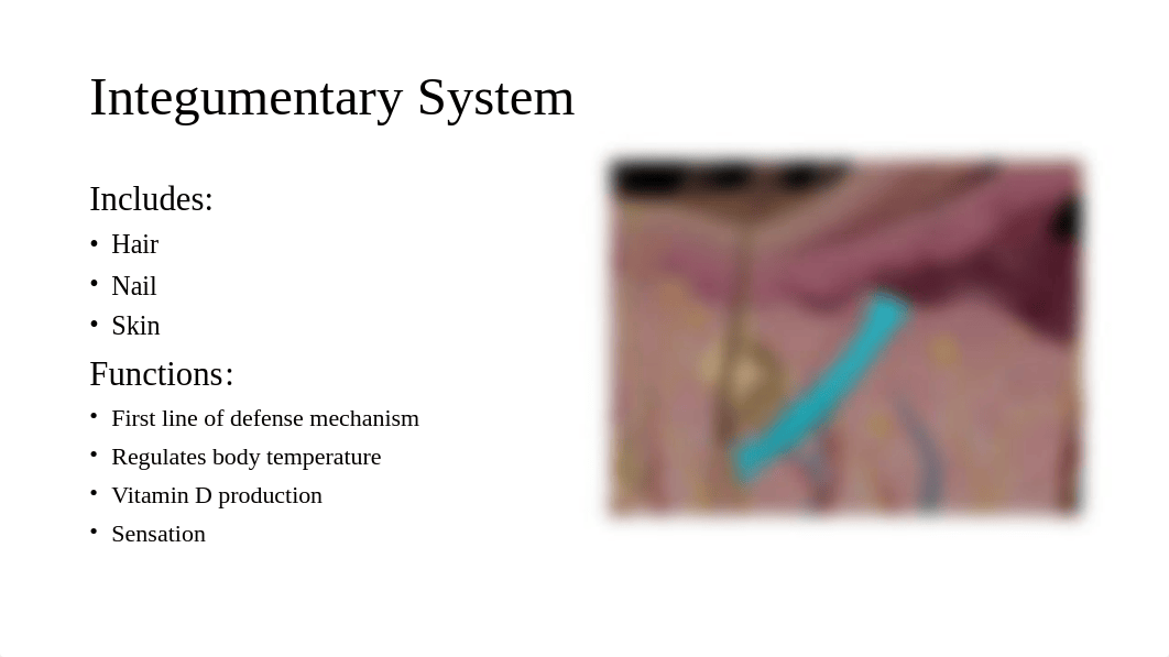 Anatomy and physiology project.pptx_dqkq94pvb4p_page3