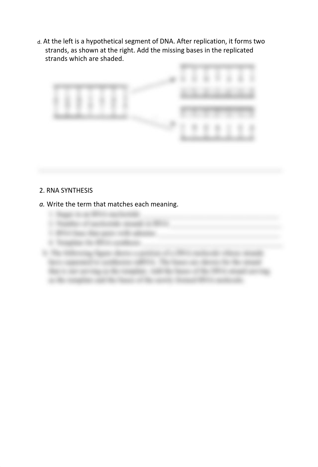 Exercise_10-Report BIOL 1111.pdf_dqkr5rd2ldl_page2