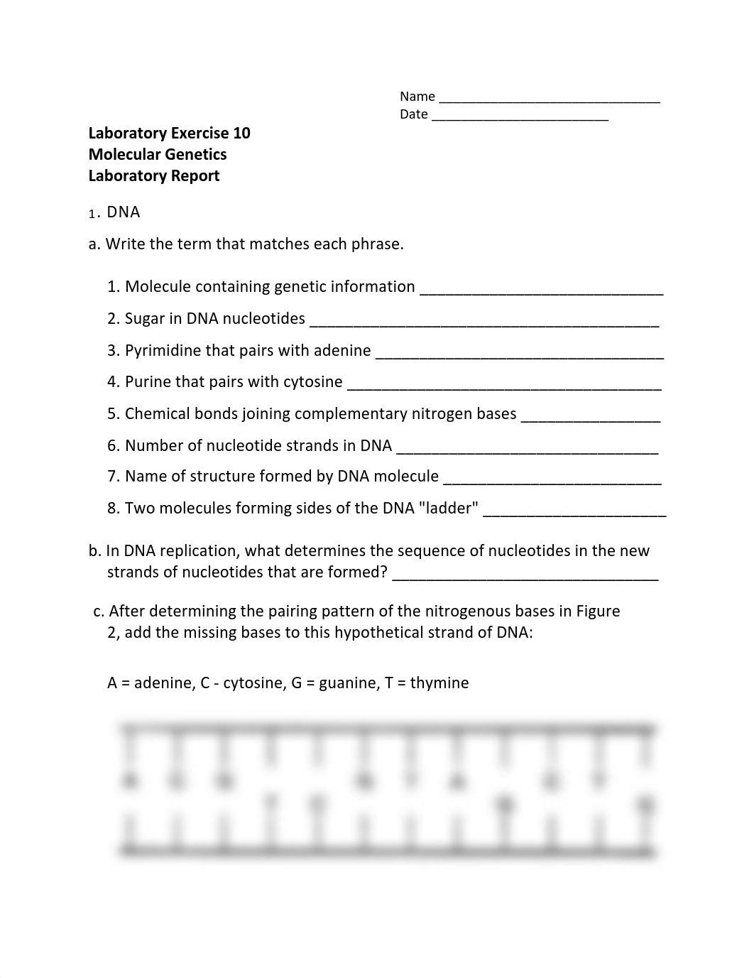 Exercise_10-Report BIOL 1111.pdf_dqkr5rd2ldl_page1