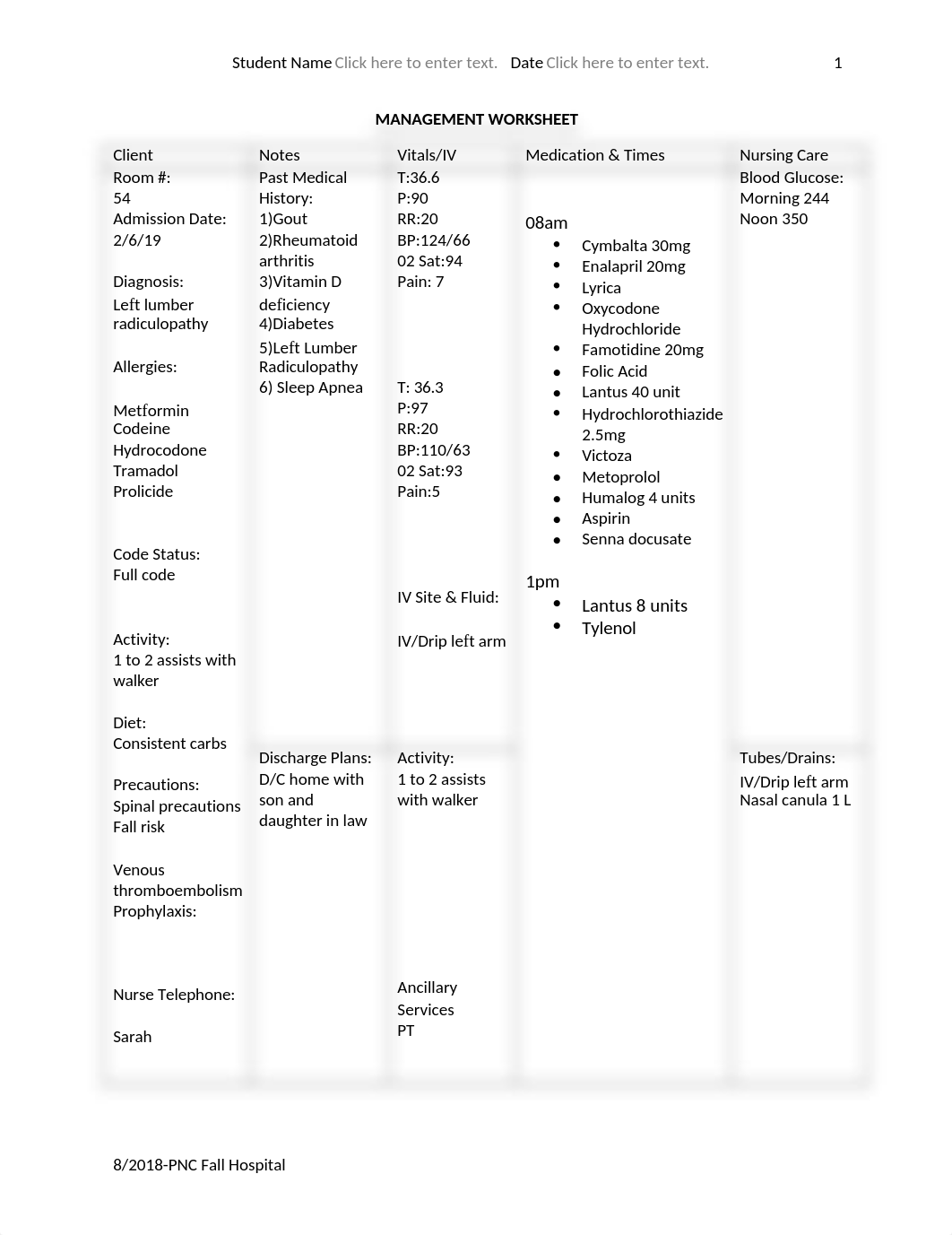 risk for injury careplan .docx_dqktshejp6x_page1