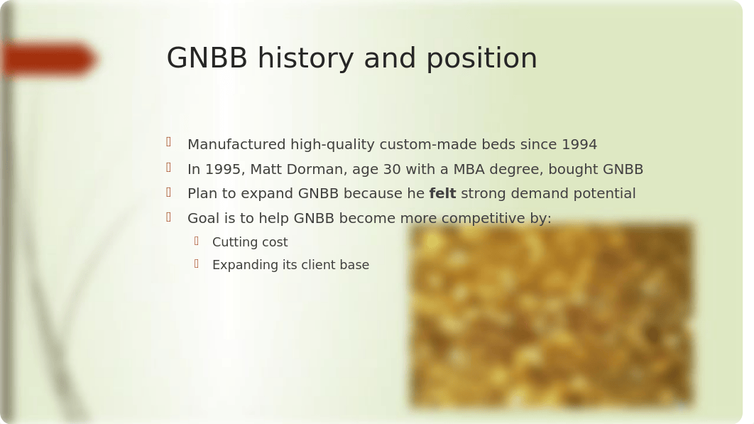 Great Northern Bunk Beds_Group 2 Presentation Slides.pptx_dqkvl4l71f1_page3