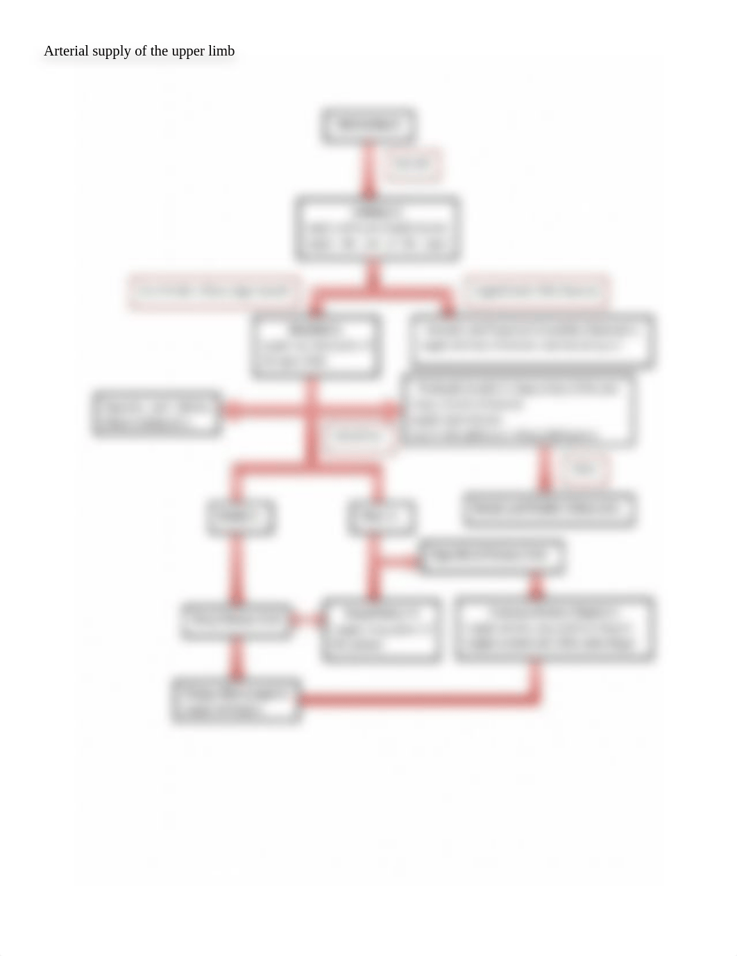 Arteries and Veins of Upper and Lower Limbs.docx_dql02s6jn20_page3