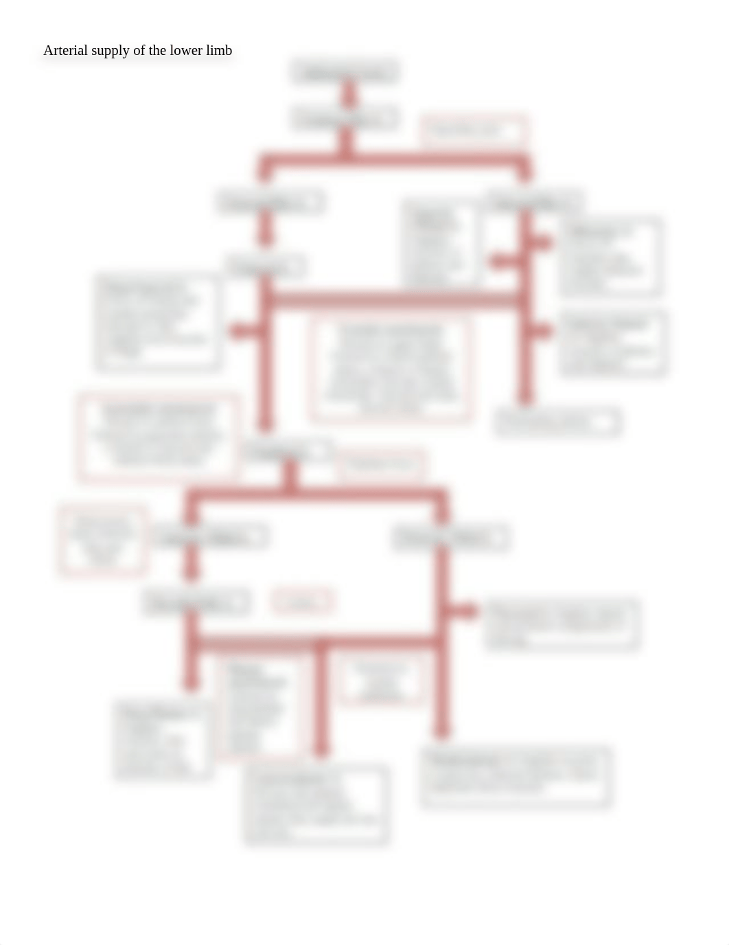 Arteries and Veins of Upper and Lower Limbs.docx_dql02s6jn20_page4