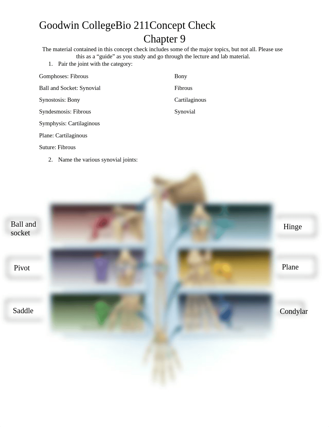 Copy of UTF-8''Chapter 9 Concept Check BIO211(1) (2).docx_dql0qnamrzs_page1