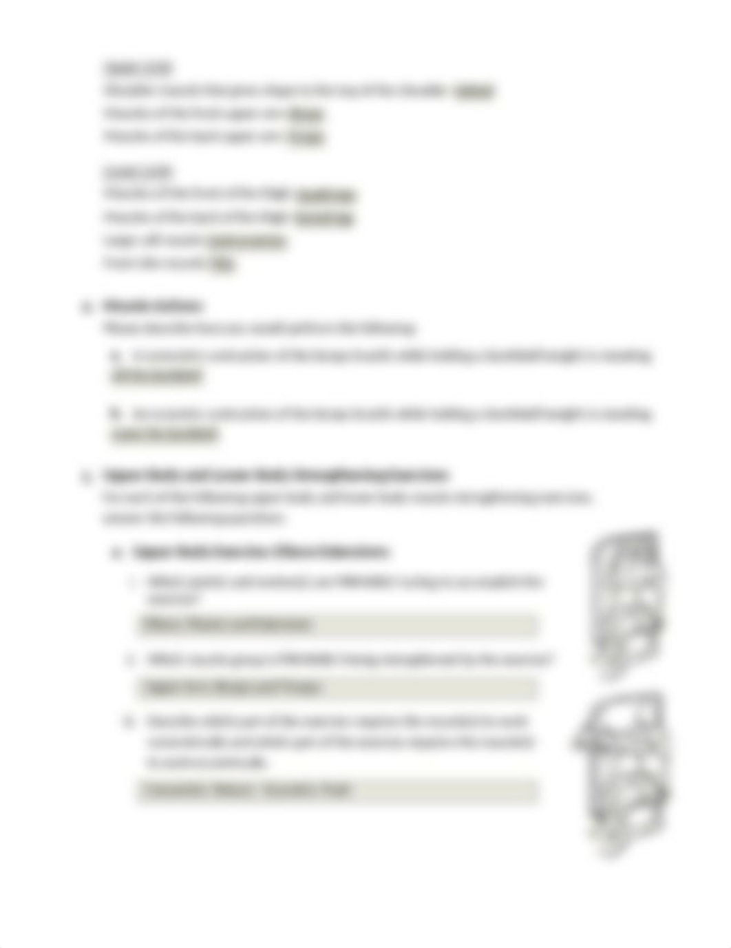 Lab Activity #6...Musculoskeletal Lab_dql75snnh3j_page2