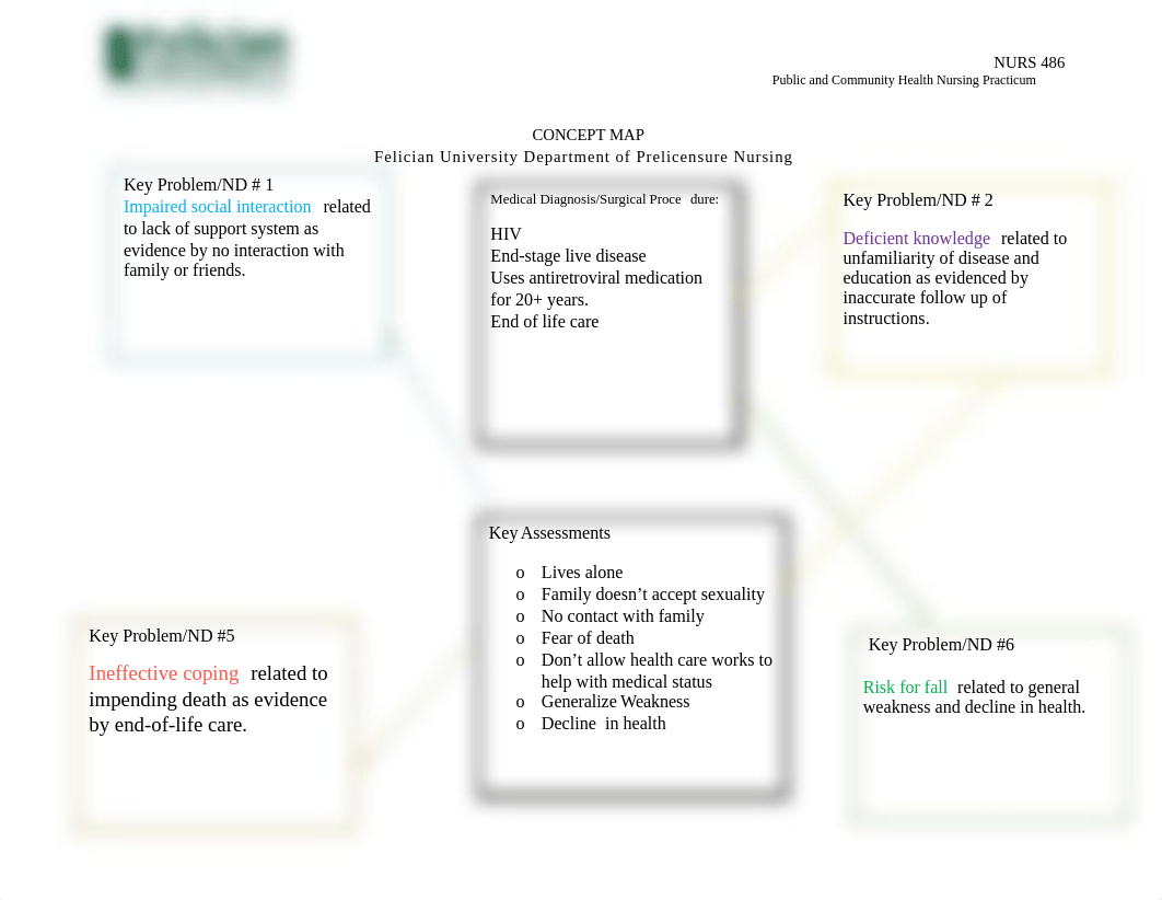 NURS 486 Concept Map Assignment Sheet.docx_dql85hc5qgj_page1