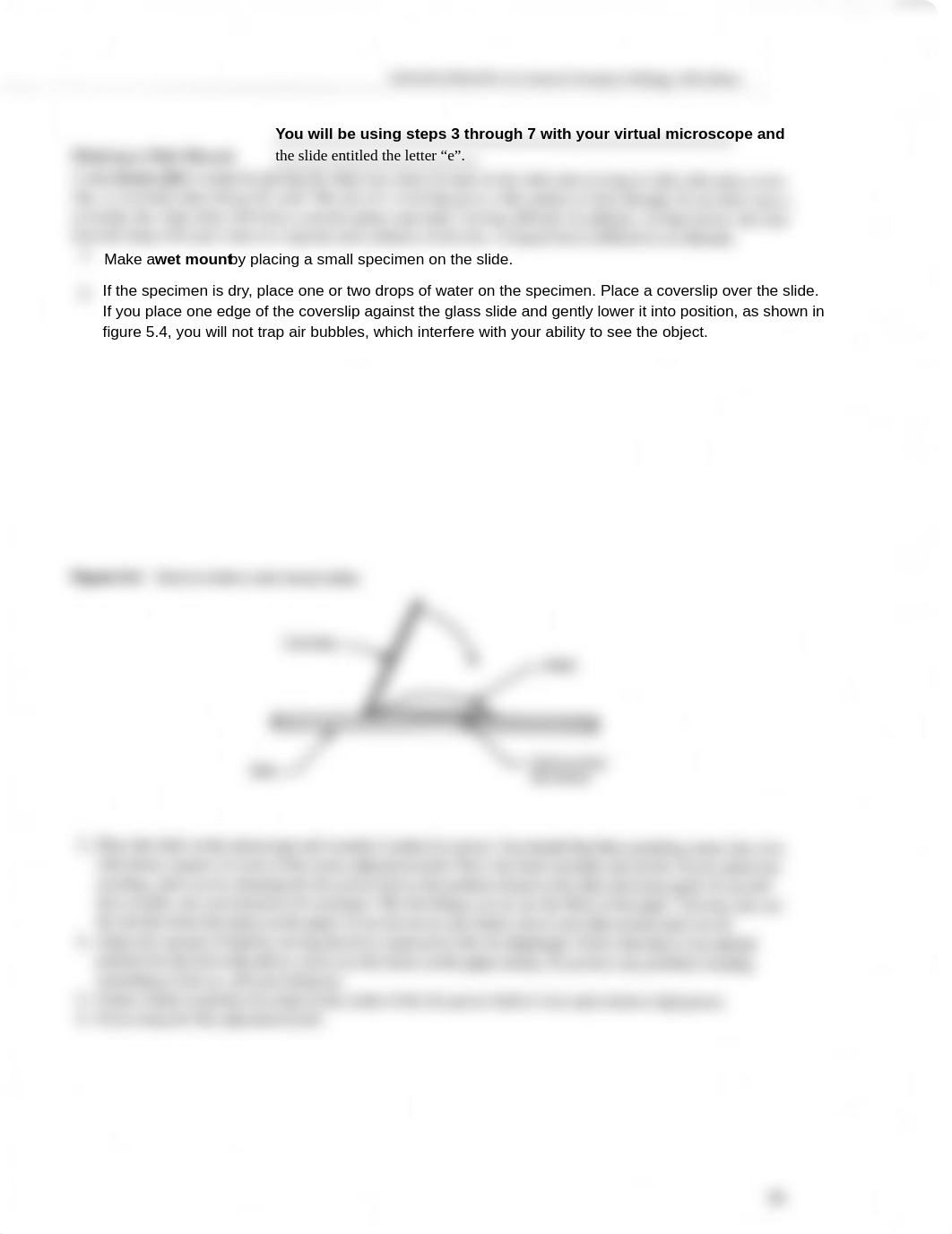 TheMicroscopeLab.pdf_dqlkl69gcgf_page5