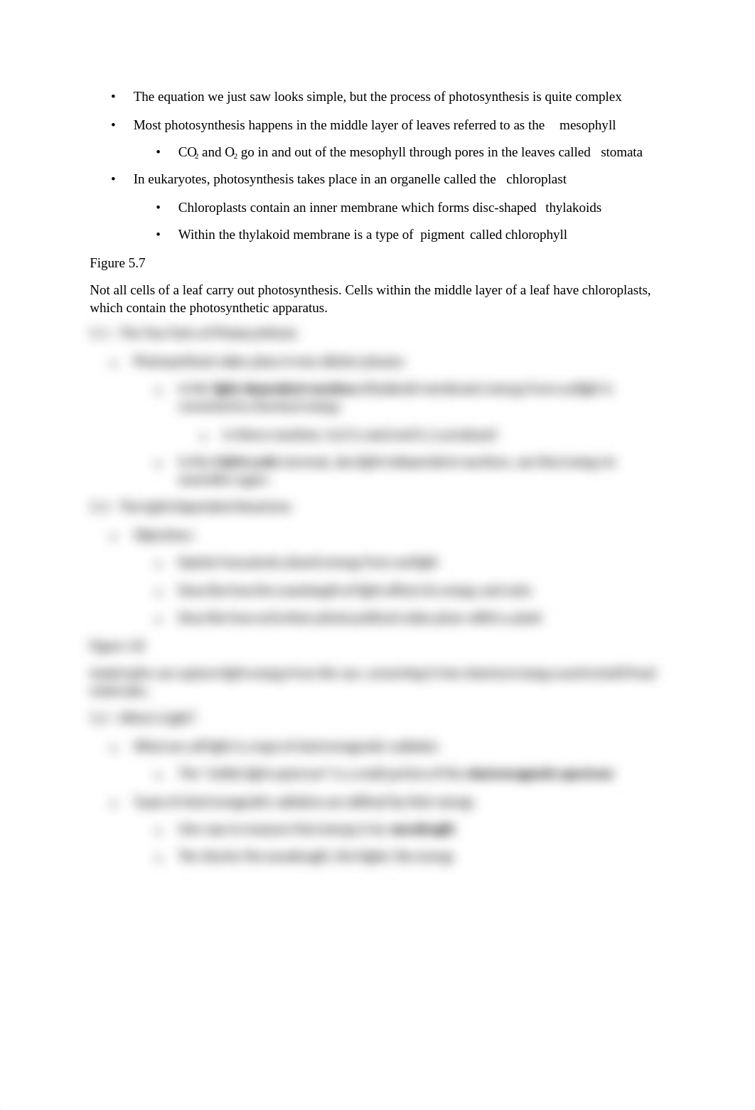 Ch 5 outline.docx_dqllt00mbny_page2