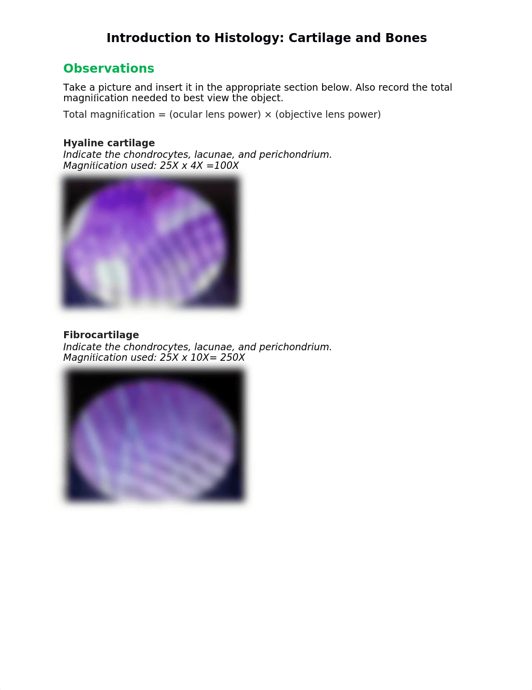 BIO201 Introduction to Histology_Cartilage and Bones_Answer sheet.docx_dqln6m9ccd6_page1