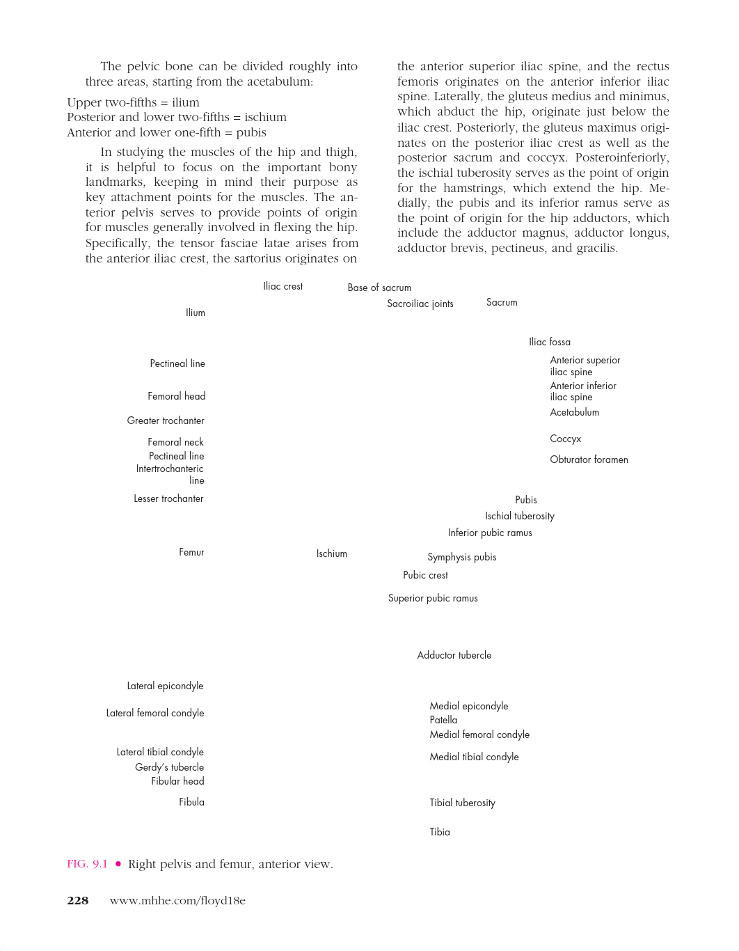 Textbook of chapter 9-13.pdf_dqmbgm3kl8p_page2