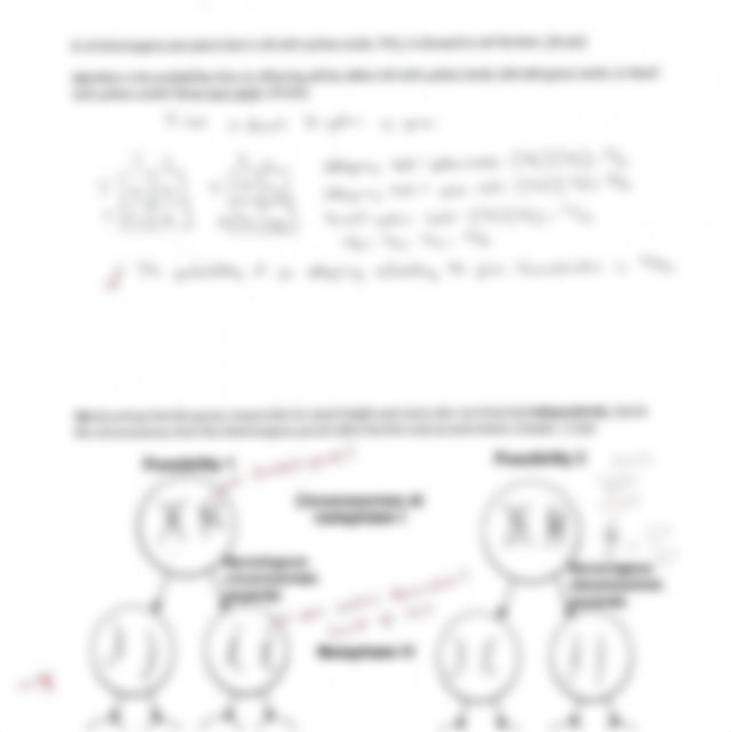 Malnutrition in Older Adults WORKSHEET/STUDY GUIDE_dqmf0xmr4wl_page4