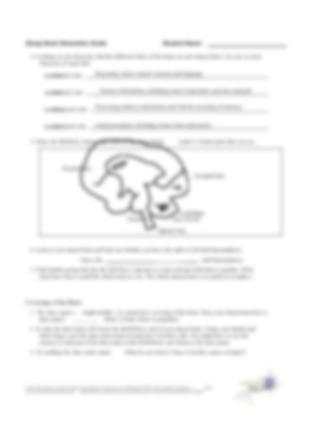 Kami Export - Sheep Brain Dissection worksheet.pdf_dqmfdeohgvo_page2