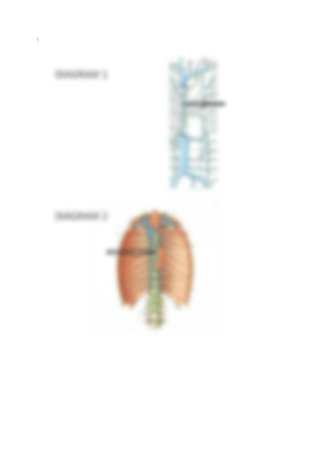 Diagrams for Exam 2.docx_dqmfr71g40d_page1